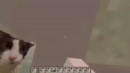 soggy cat build minecraft real 100%